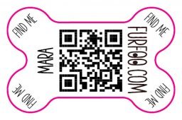 Dog QR Tag